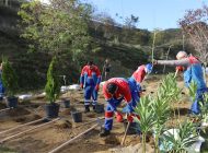 KAĞITHANE’DE TOPRAKLA BULUŞAN FİDAN SAYISI 40 BİNİ BULDU