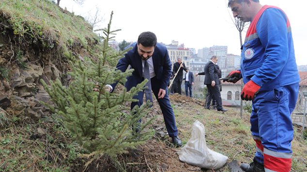 HER BEBEK BİR AĞAÇLA BÜYÜYOR: KÂĞITHANE’DE YEŞİL GELECEK