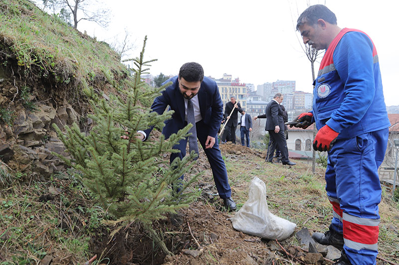 HER BEBEK BİR AĞAÇLA BÜYÜYOR: KÂĞITHANE’DE YEŞİL GELECEK